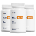 HeatWave_V2 (1).png__PID:26d2e892-201f-4bc9-bddb-898adc092116
